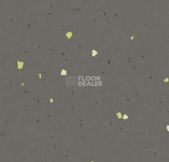 Линолеум Forbo Sphera Energetic 51215 vivid ebony фото 1 | FLOORDEALER